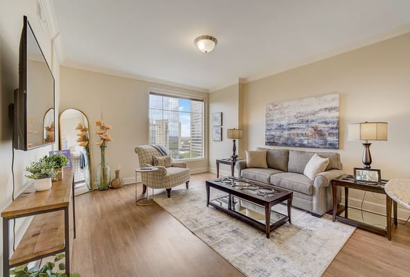 Comfortable living room with a gray sofa and natural light