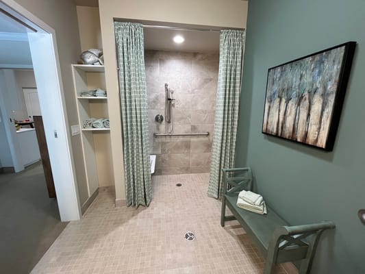 Accessible shower room with grab bars and elegant decor