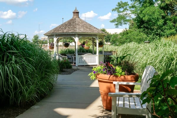 A gazebo surrounded by tall grass and colorful potted plants.