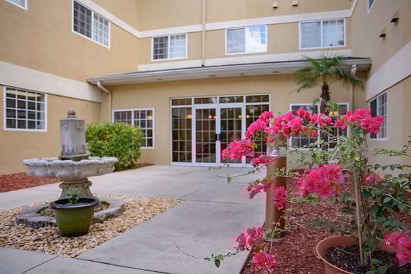 A courtyard with a fountain and blooming pink bougainvillea flowers.