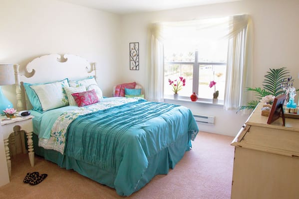 Brightly decorated bedroom with a large bed, window, and decorative plants