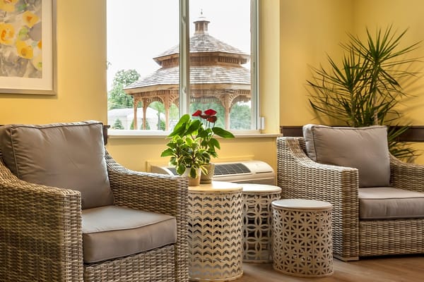 Cozy lounge area with wicker chairs and decorative plants