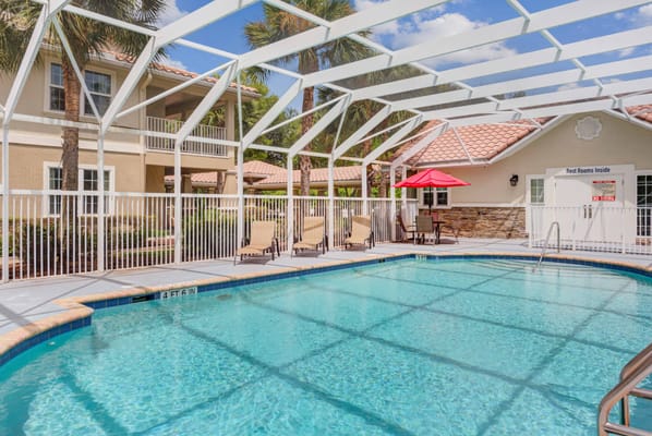 Swimming pool surrounded by lounge chairs and palm trees