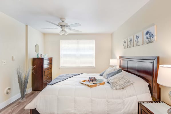 Bright bedroom with a bed, dresser, and decorative pillows
