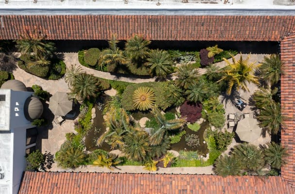 Aerial view of a lush garden featuring palm trees, pathways, and a pond at Mission Terrace.