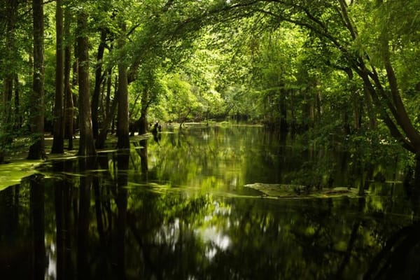 Cypress Creek Assisted Living