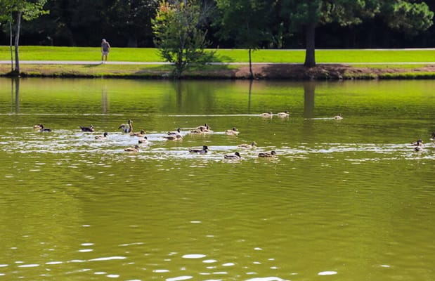 CenterWell Home Health – Harrison