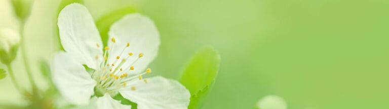 Emerald Crest Memory Care Minnetonka