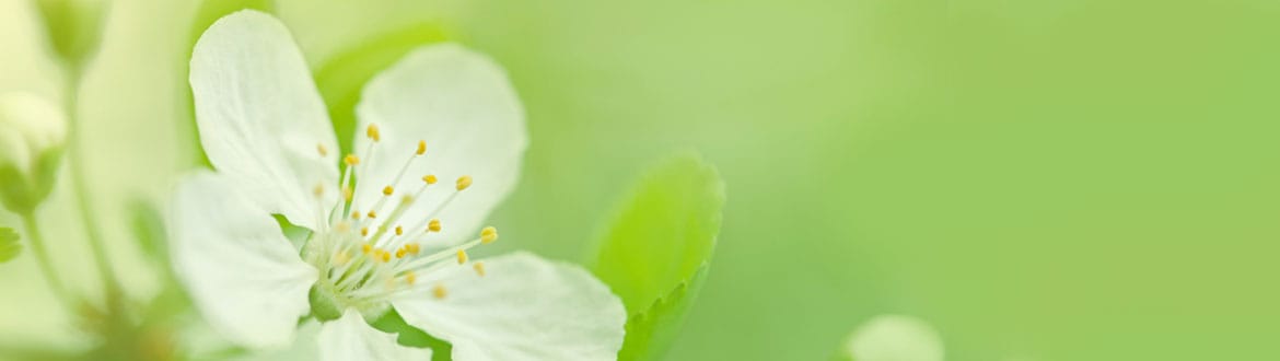 Emerald Crest Memory Care Minnetonka