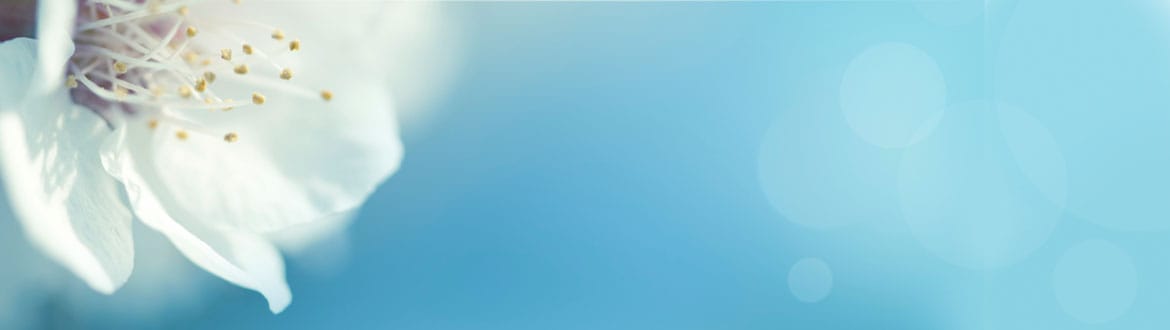 Emerald Crest Memory Care Minnetonka