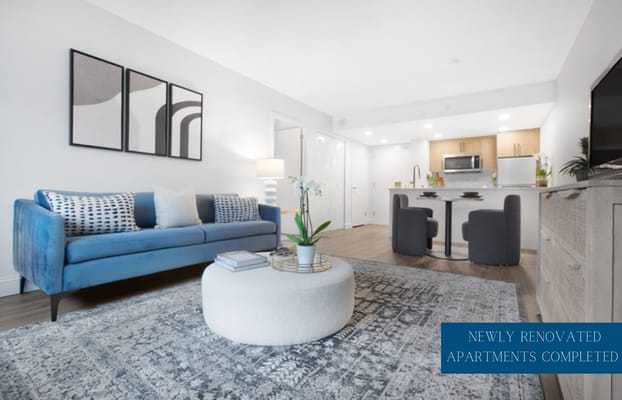 Stylish and modern interior of a renovated apartment