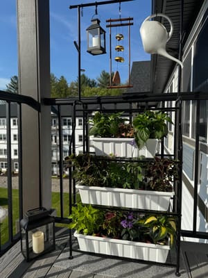 Outdoor balcony garden with plants and decorations