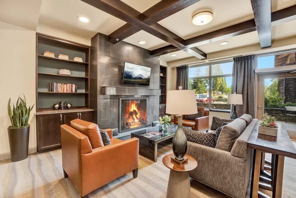 Living room with fireplace, seating, and bookshelves