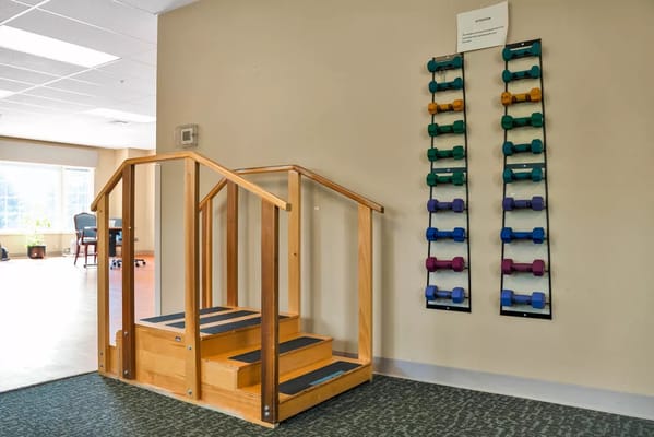 Wooden stairs and a wall-mounted weight rack in the therapy area