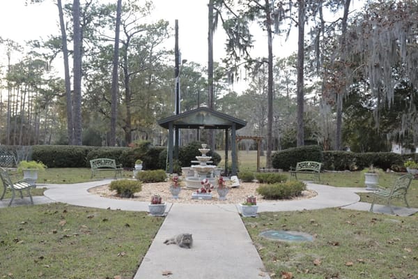 Outdoor garden area with a fountain and benches