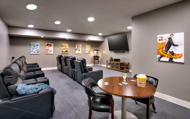 Cozy movie room with comfortable seating and vintage posters