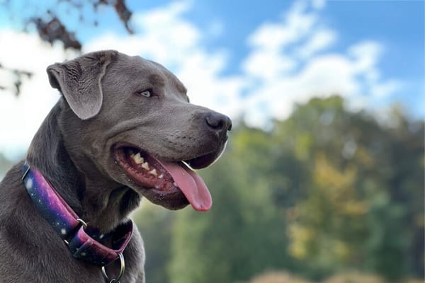 Lake George Senior Living