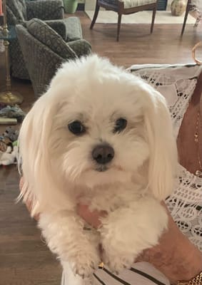 Solstice Senior Living at Corpus Christi