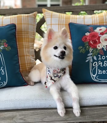 Solstice Senior Living at Corpus Christi