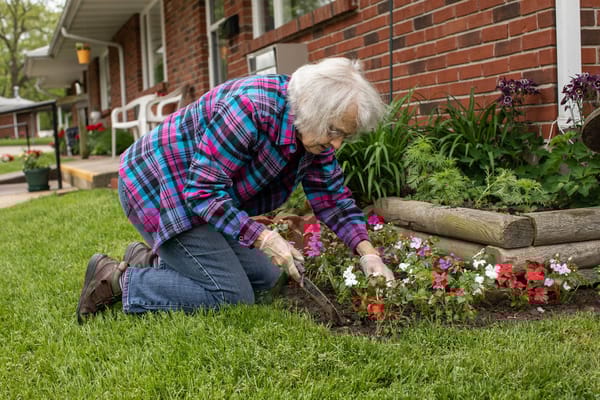 Resident gardening in outdoor flower beds