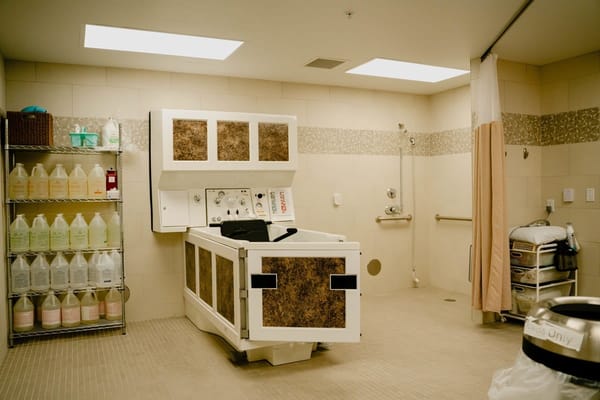 Interior view of a bathing room for residents