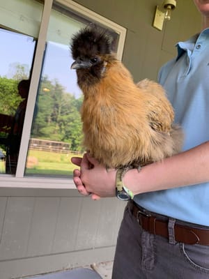 Independent Living Center of North Central Ohio