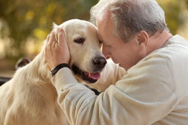 Senior man embracing a golden retriever dog