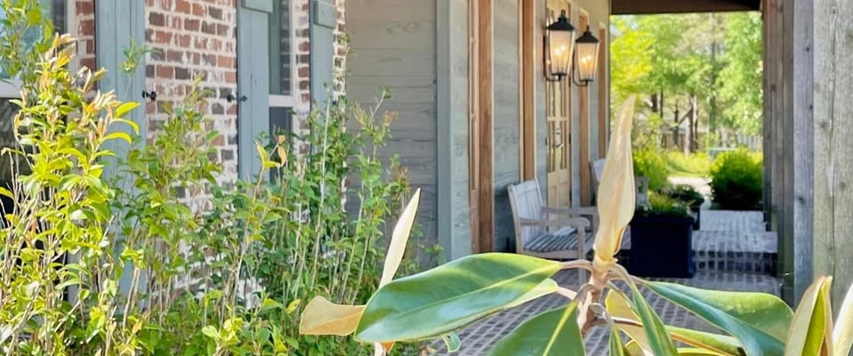 Entrance to a welcoming outdoor space with seating