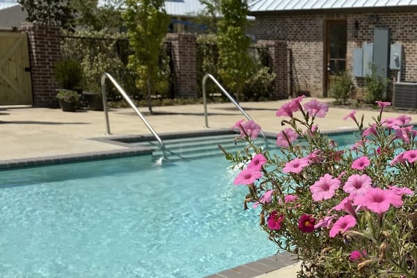 A relaxing swimming pool area with blooming flowers
