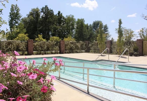 Outdoor swimming pool with flowers in the foreground