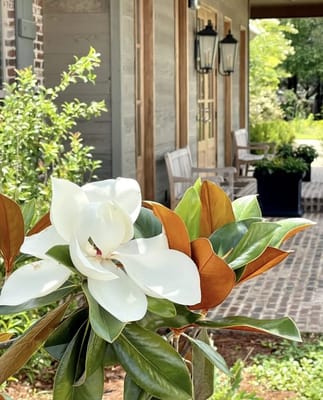 Beautiful flower in front of the facility entrance