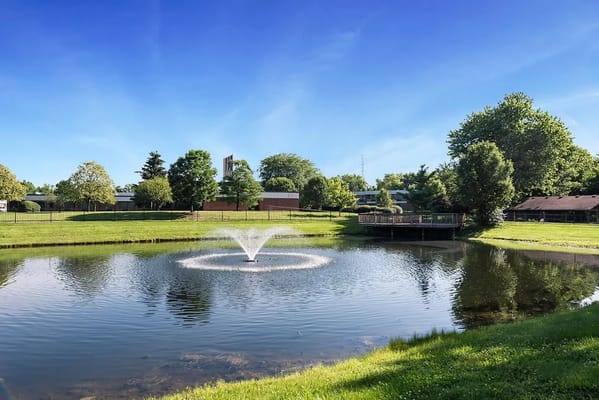 Scenic outdoor pond with fountain in a green park