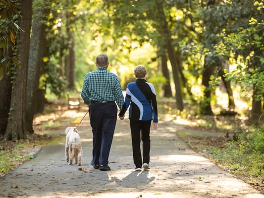 A senior couple walking a dog on a sunny path