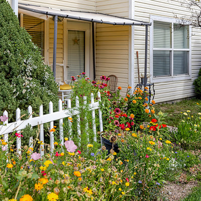 Vibrant garden with flowers and chairs