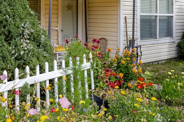 Vibrant garden flowers in front of a facility