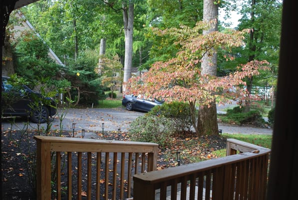 View of landscaped outdoor area with trees and cars