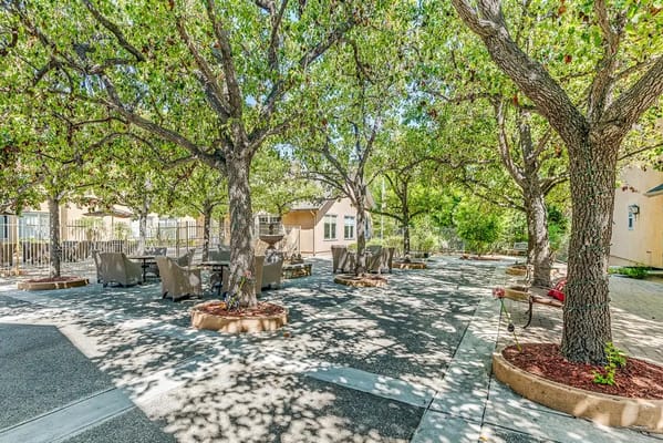 Well-shaded outdoor seating area with trees