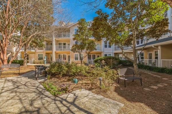 Tranquil outdoor space with benches and plants