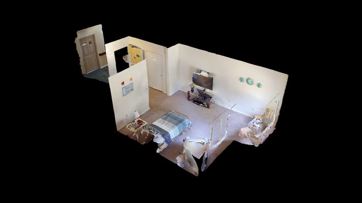 A spacious bedroom with a bed, TV, and decorative elements.