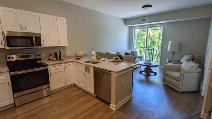 Modern kitchen and living area in a senior apartment