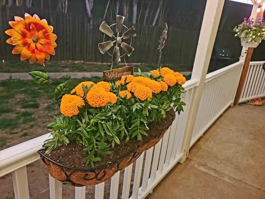 Colorful flower pot welcoming visitors