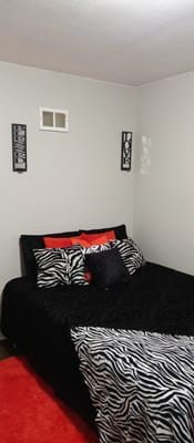 A cozy bedroom featuring a black and white zebra print bedding with colorful accent pillows.