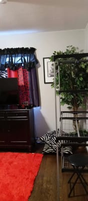 Living room with television, zebra-print decor, and potted plant.