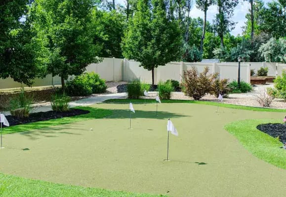 Outdoor putting green with flags and trees