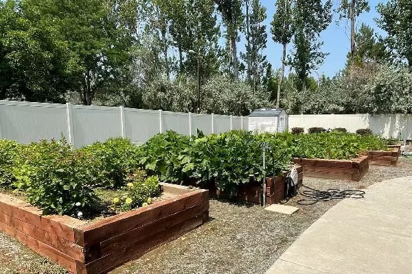 Raised garden beds in an outdoor space