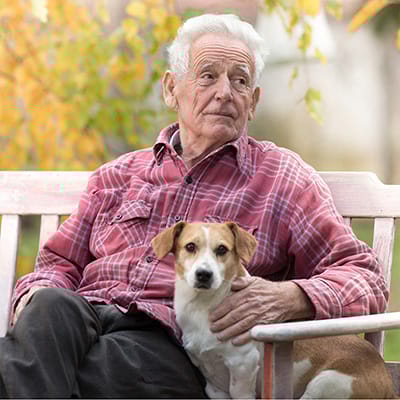 Senior man sitting on a bench with a dog in a garden