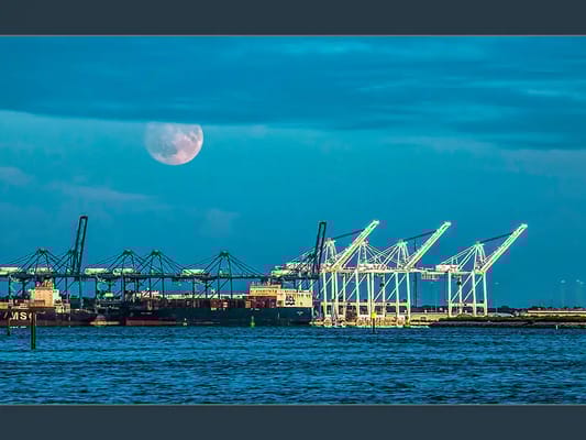 Charter Senior Living of Woodholme Crossing