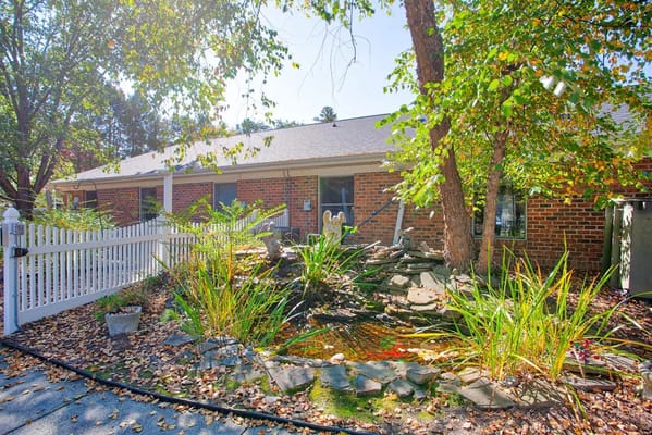 Serene outdoor garden area with pond and plants