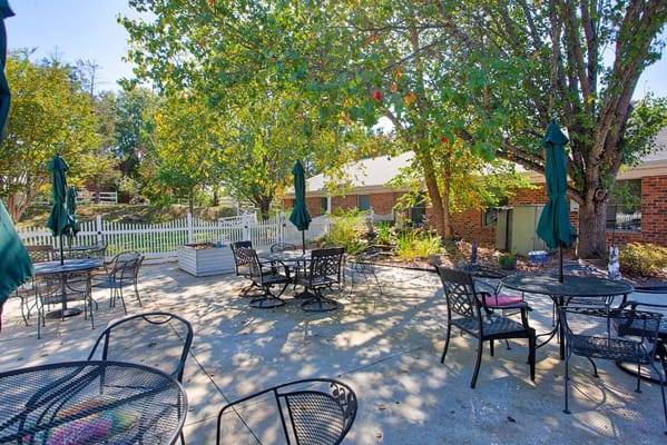 Outdoor seating area with tables and chairs under trees