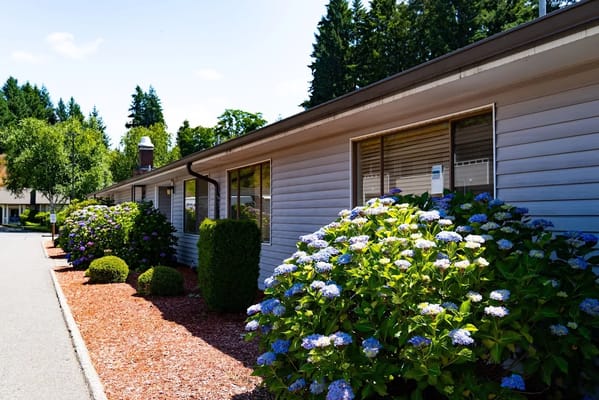 Building exterior with landscaped flower beds
